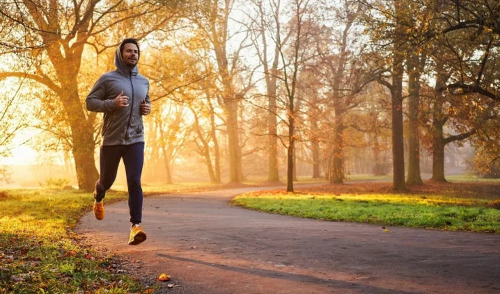 Fitness de l’été à l’automne : comment maintenir une routine d’entraînement régulière à la maison et rester actif