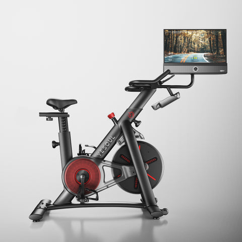 Yesoul G1M Plus Vélo (€499)