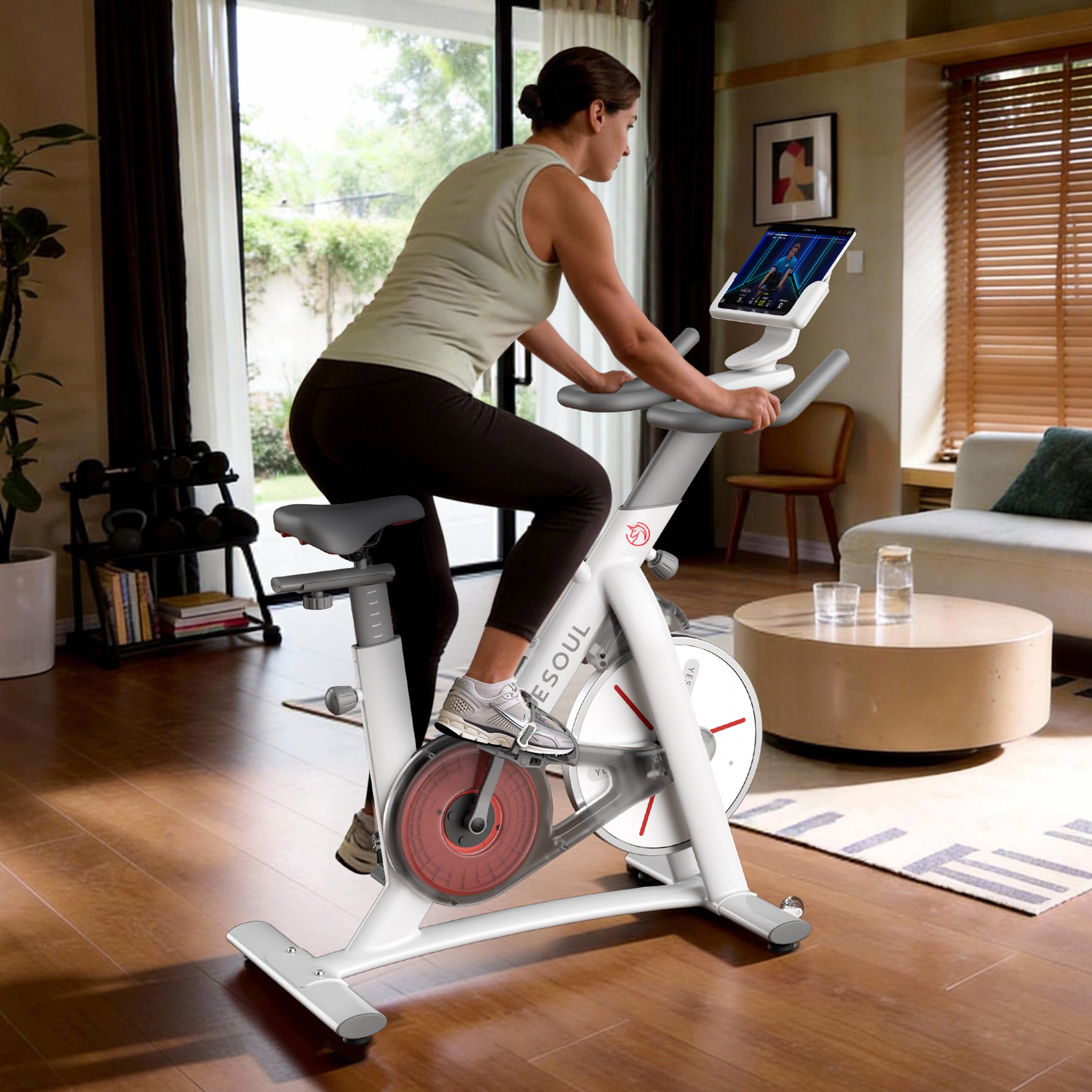 YESOUL S3 Vélo d’appartement — Norme UE