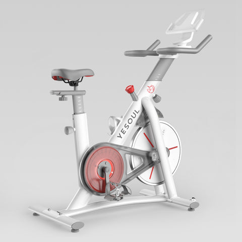 YESOUL S3 Vélo d’intérieur （€329)