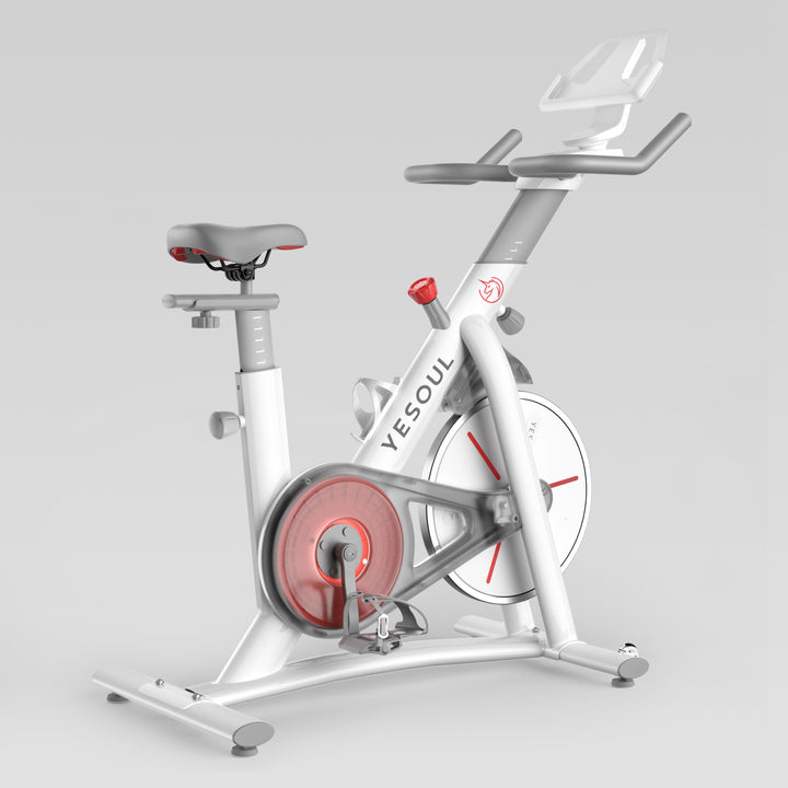 YESOUL S3 Vélo d’intérieur （€329)